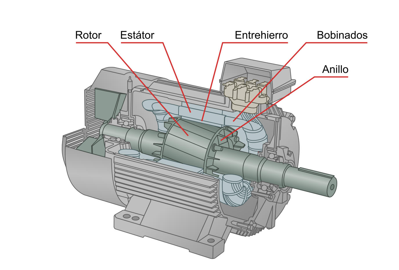 Figura 10.2: Componentes de un motor de inducción de corriente alterna